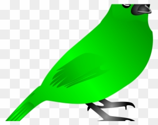 320x254 European Bird Tree Puzzle