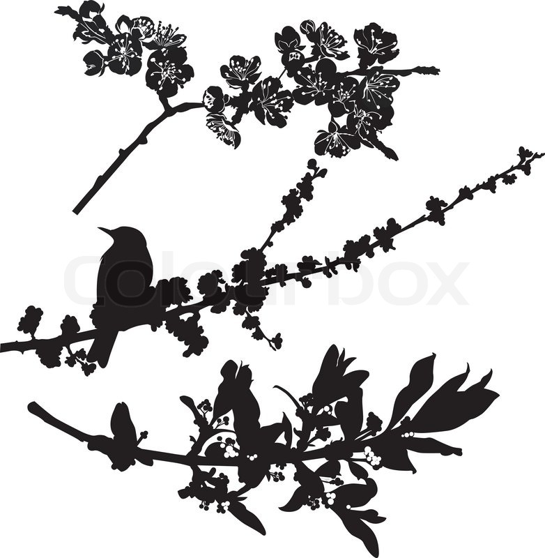 782x800 Tree Branches In Flower Bird Starling Stock Vector Colourbox