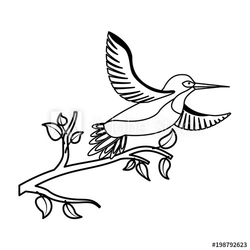 500x500 Bird Open Wings Feathers In The Tree Branch