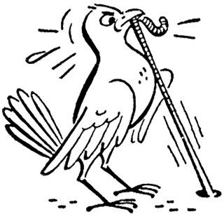 320x305 Bird In Tree Drawing At Getdrawings Com Free For Personal Use Cute