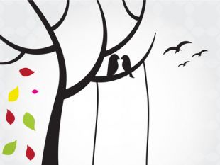 310x233 Bird On A Tree Free Vectors Ui Download