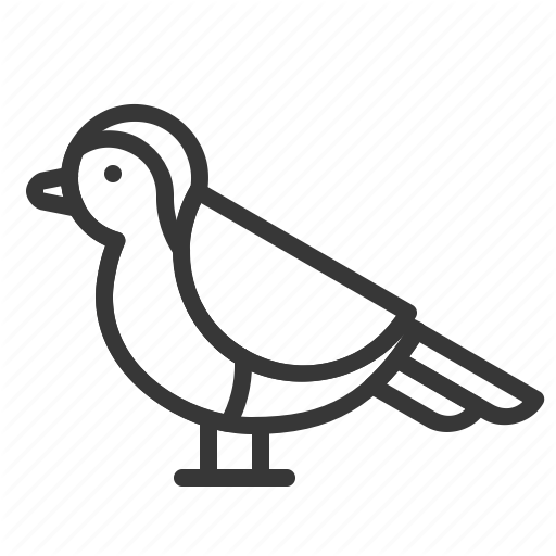 512x512 Robin Vector Line Drawing Transparent Png Clipart Free Download