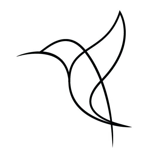 539x528 Outline Of Bird