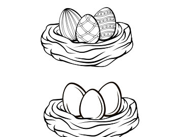 340x270 Bird Nest Etsy