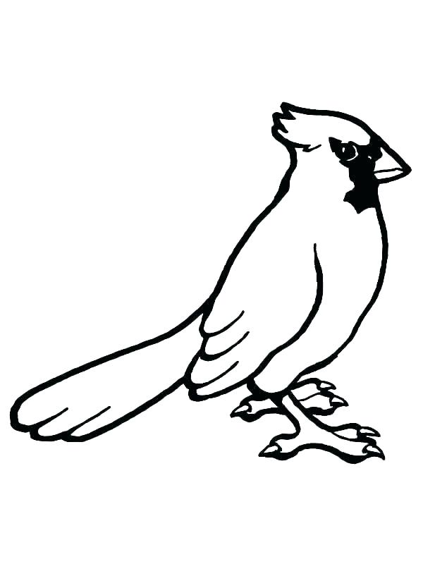 600x800 Printable Bird Nest Coloring Pages