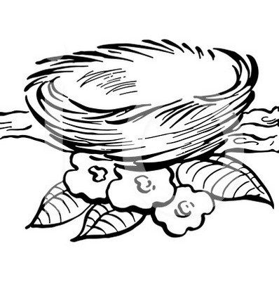 398x418 Bird Nest Coloring Picture Art Coloring Pages Designs Bird