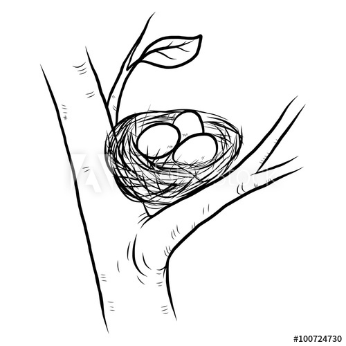 500x500 Bird Nest On A Three Cartoon Vector And Illustration, Black