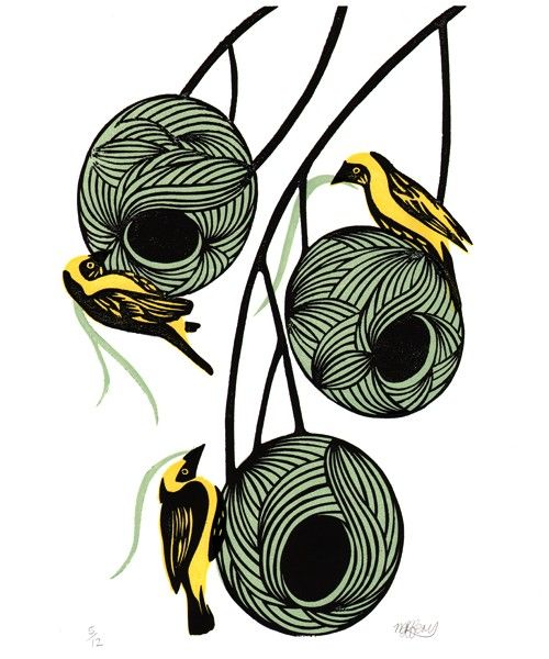 500x600 Weaver Bird Nests