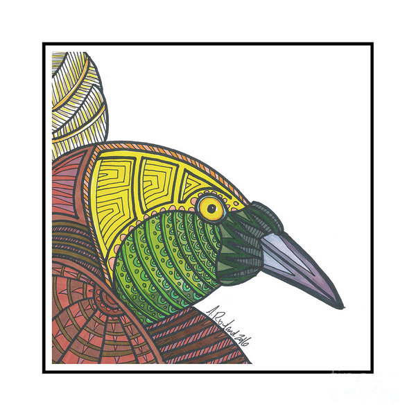 600x600 Bird Of Paradise Drawings