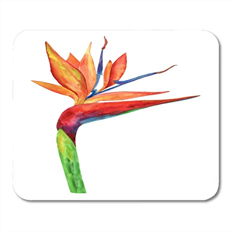 466x466 Vankine Mouse Pads Colorful Drawing Flower Bird