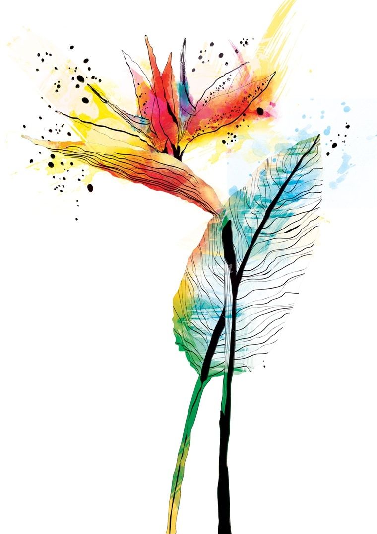 760x1075 Ella Tjader Is An Illustrator, Specialized In Feminine Drawing