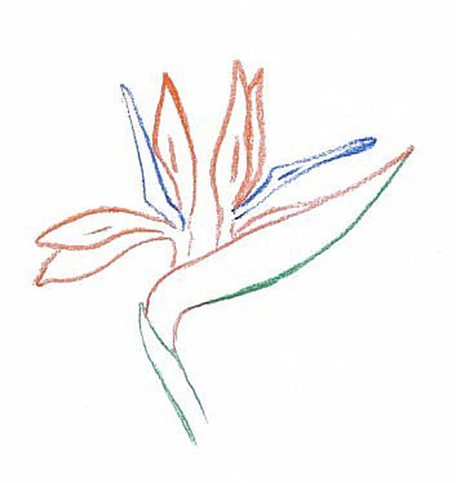 640x678 How To Shade With Colored Pencils Ehow