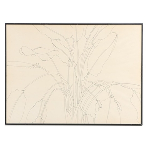 300x300 Ann Bruce Stoddard Ink Drawing Bird Of Paradise Ii