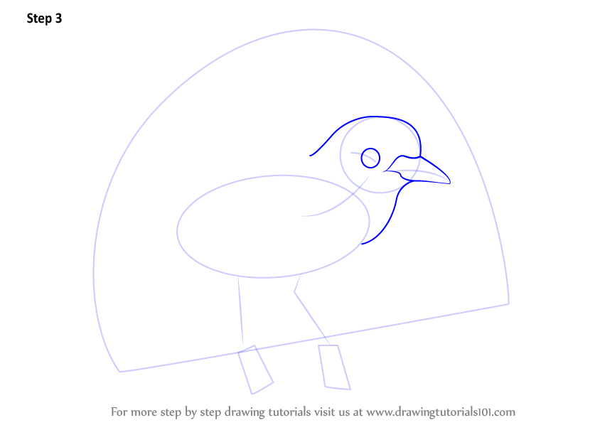 844x598 Learn How To Draw A Superb Bird Of Paradise