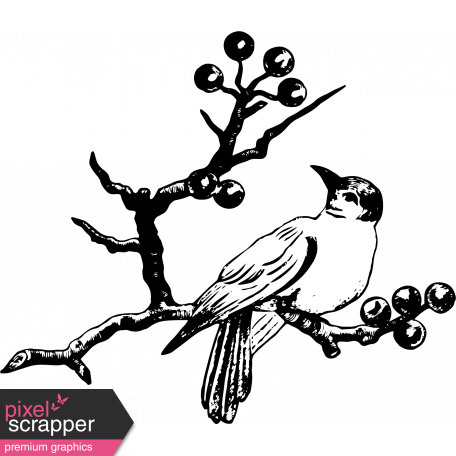 456x456 Collection Of Free Branches Drawing Nature Download On Ui Ex