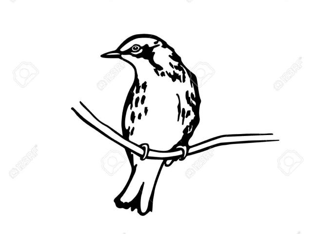640x480 Free Drawn Bird, Download Free Clip Art