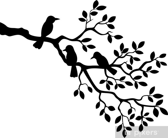 700x576 Huge Collection Of 'bird Silhouette On Branch' Download More Than
