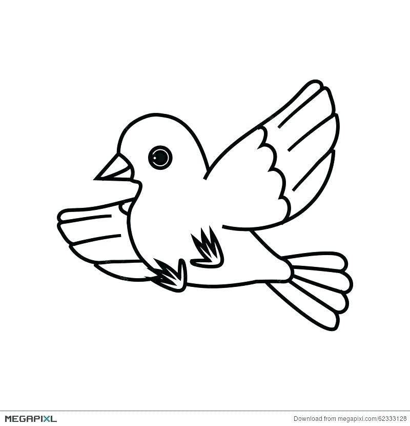 800x830 Dove Outline Drawing Drawings Of Doves Coloring Pages For Kids