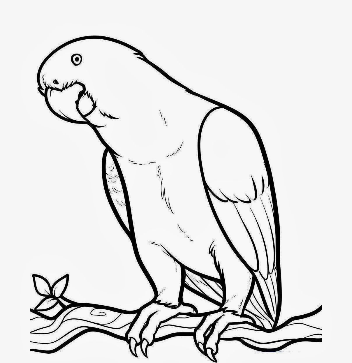 1208x1246 Huge Collection Of 'bird Outline Drawing' Download More Than