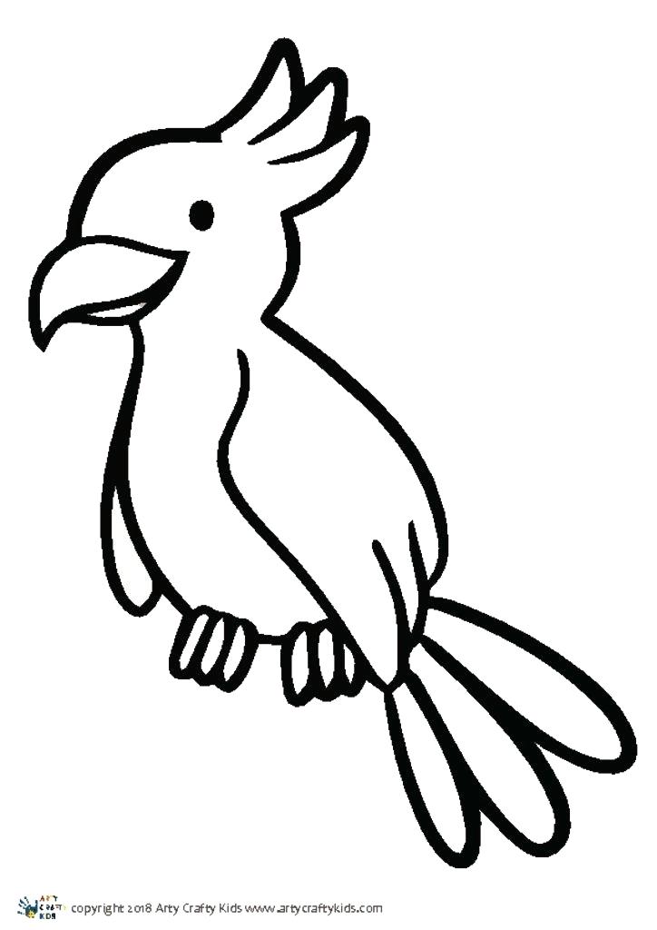 724x1024 Page Bird Outline Drawing For Free Download Bird Drawing Bird