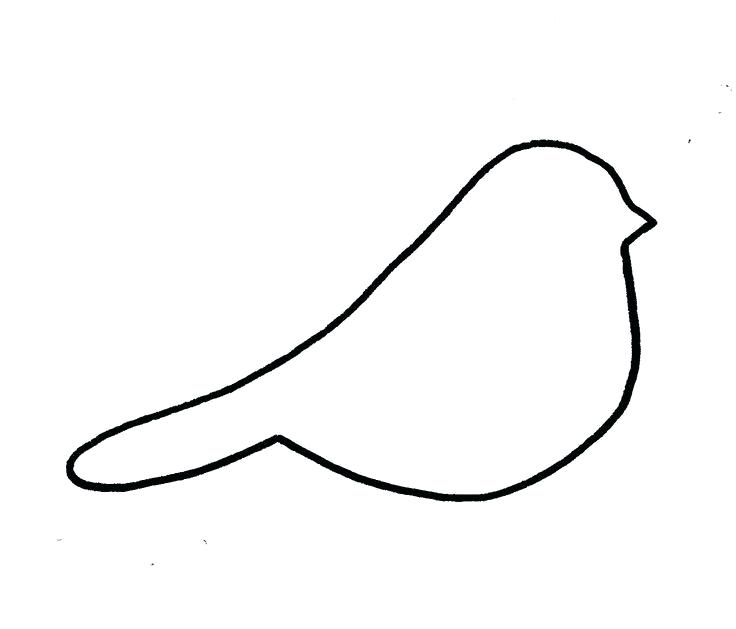 736x629 Simple Bird Outline Drawing Template Stencil