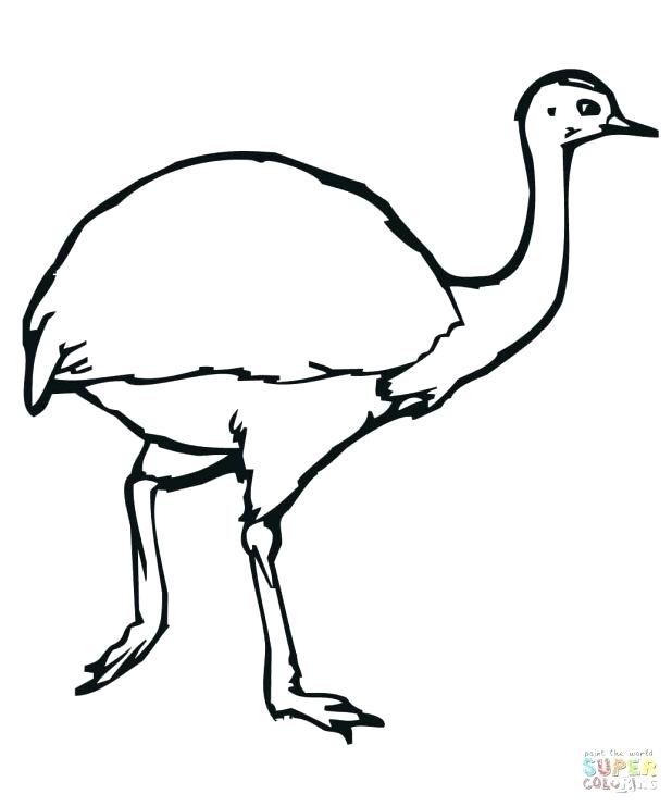 618x742 toucan outline coloring cool toucan outline toucan outline drawing