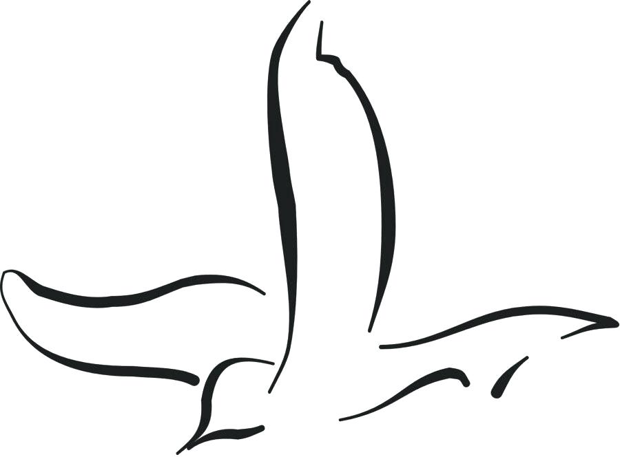 Bird Outline Drawing | Free download on ClipArtMag