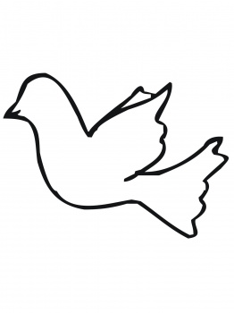 262x350 Bird Outline Drawing Free Download