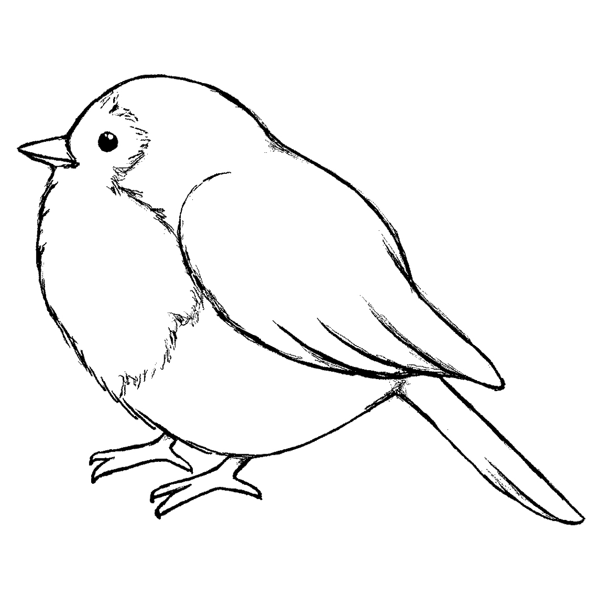1200x1200 Bird Outline Drawing Free Download Clip Art