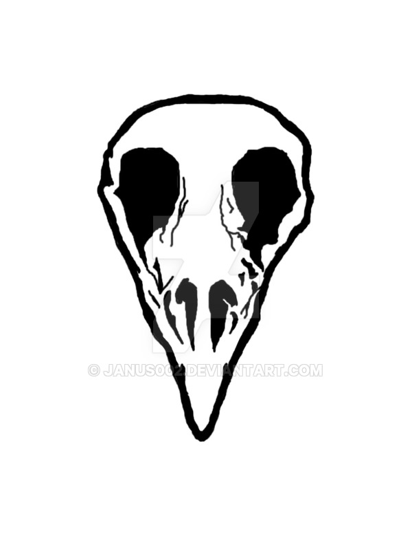 600x776 Bird Skull Sketch