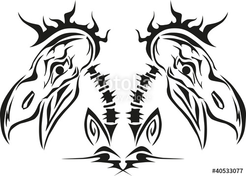 500x358 Bird Skull Stock Image And Royalty Free Vector On Fotolia