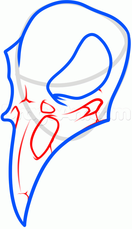 504x871 How To Draw A Crow Skull, Step