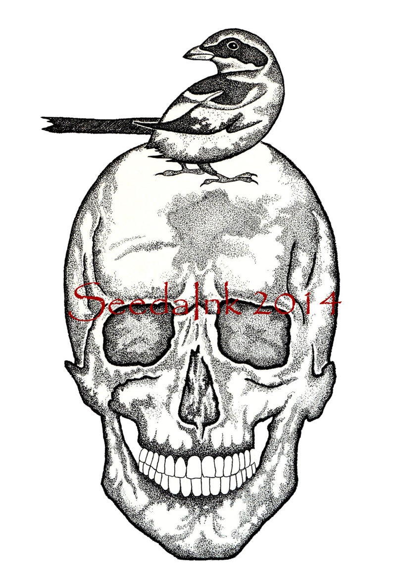 794x1180 skull print in pen and ink with bird pointillism black and etsy