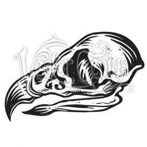 300x300 Animal Bird Skull Clipart Stockart
