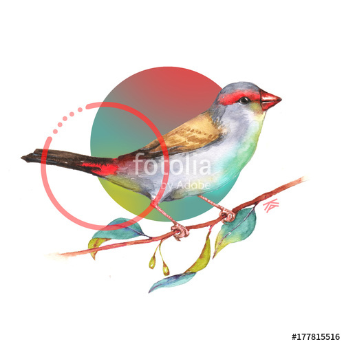 500x500 Hand Drawn Watercolor Illustration Tattoo Sketch Template