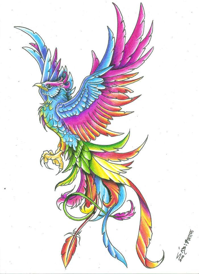 700x960 Latest Phoenix Tattoos Designs