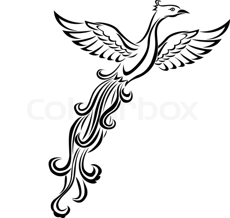 800x759 Phoenix Bird Tattoo Stock Vector Colourbox
