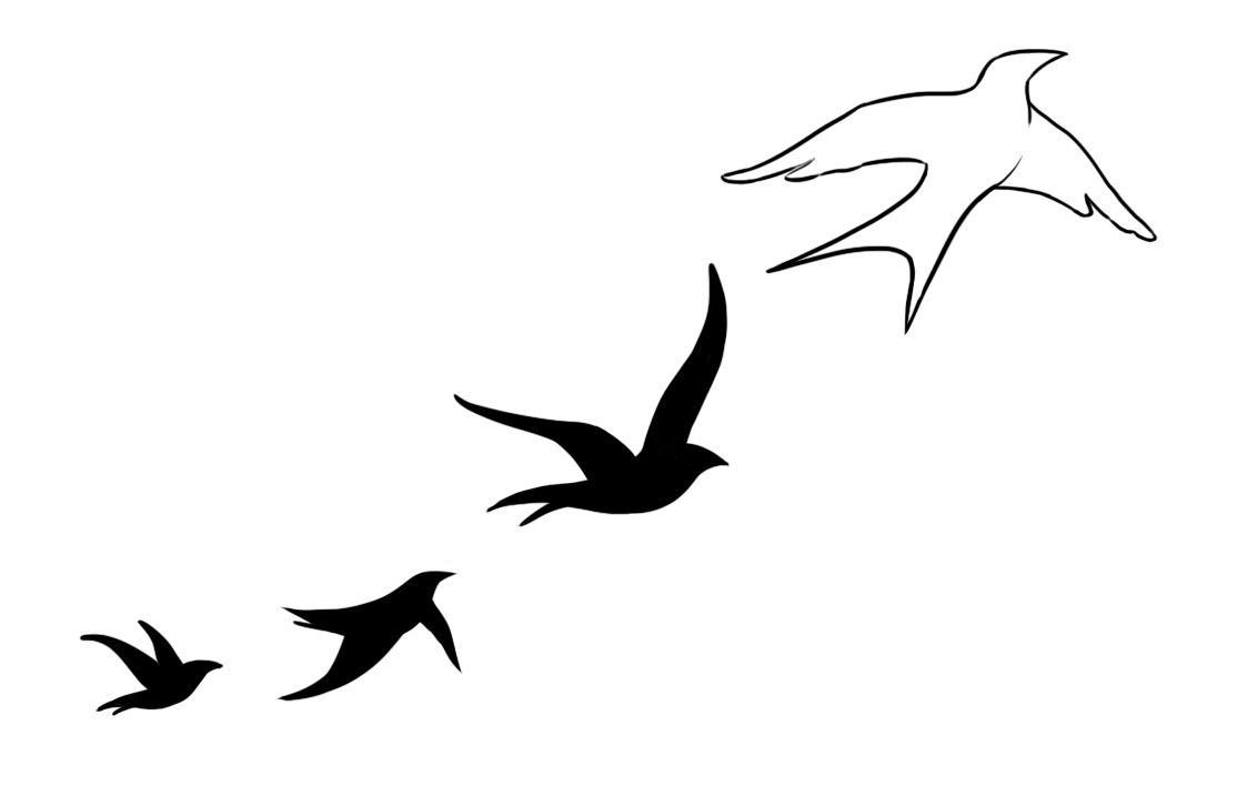 1114x708 Bird Tattoo Designs In Impressive Ideas Birds Black Four Flying