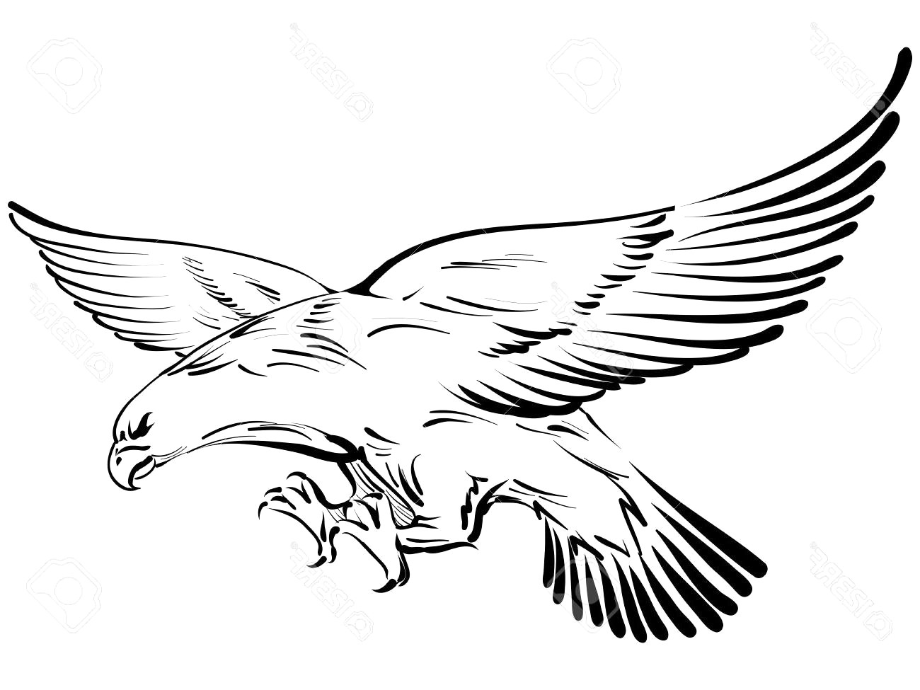 Орел рисунок спереди