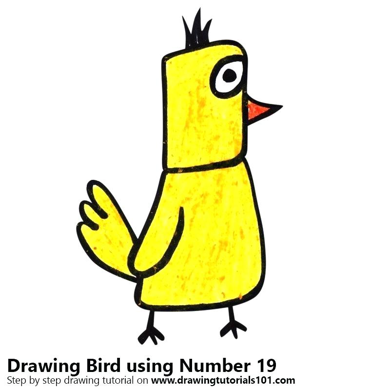 800x800 How Draw A Bird Draw Birds Nest Zupa