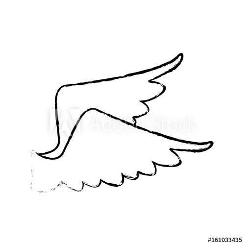 500x500 Drawing Wings Feather Bird Angel Icon Vector Illustration