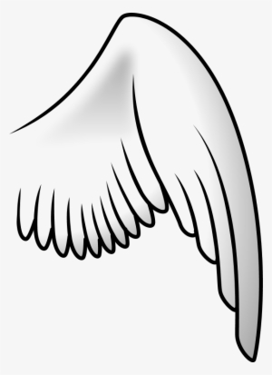300x413 Bird Wings Png, Transparent Bird Wings Png Image Free Download