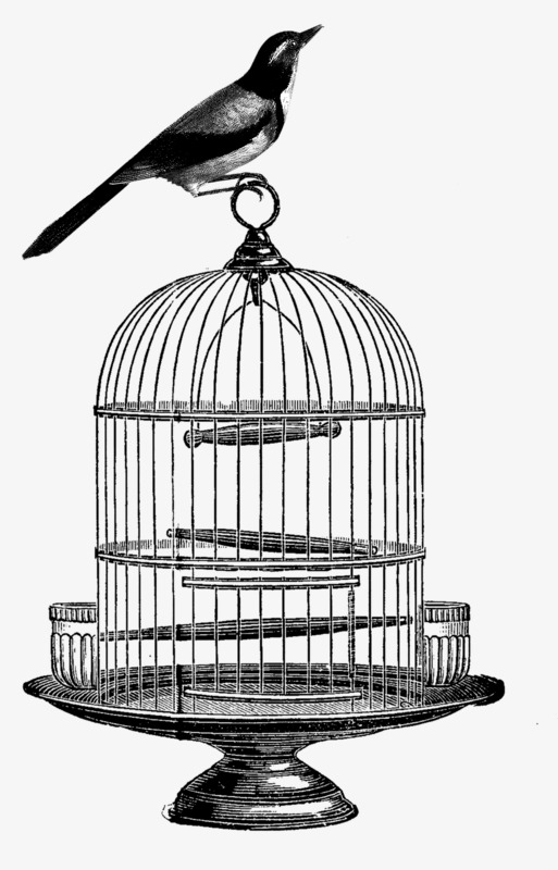 513x800 black and white birdcage, birdcage, birds, black png image
