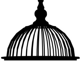 260x200 Drawing, Illustration, Bird, Transparent Png Image Clipart Free