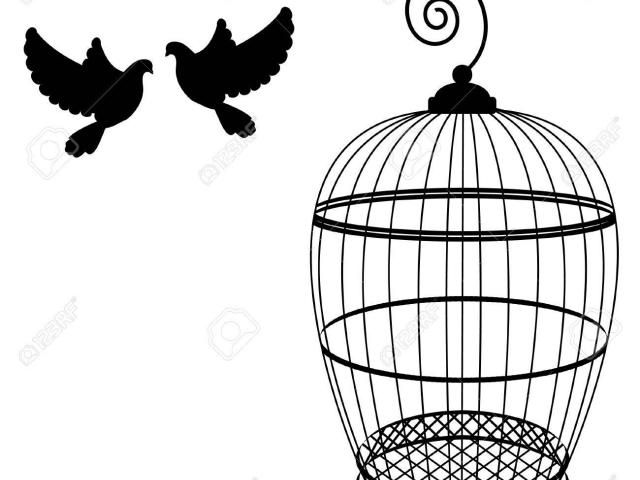 640x480 Drawn Birdcage Free Clip Art Stock Illustrations