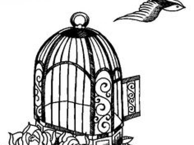 640x480 Free Drawn Birdcage, Download Free Clip Art