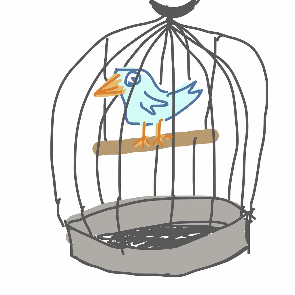 1024x1024 The World's Best Photos Of Birdcage And Drawing