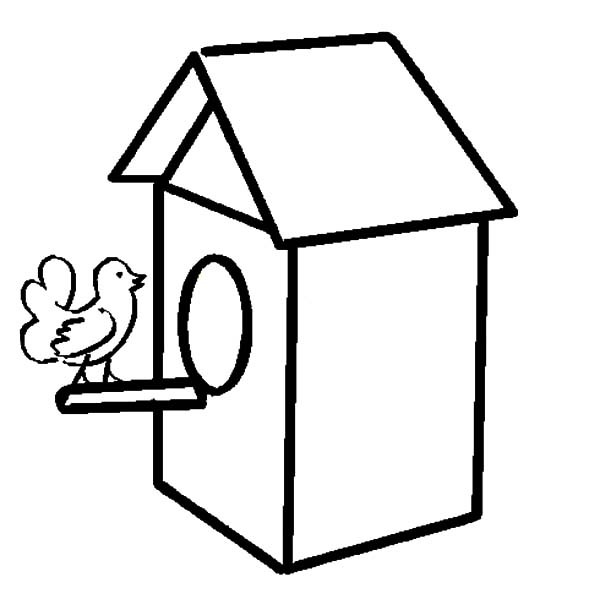 600x599 Birdhouse Drawing Step