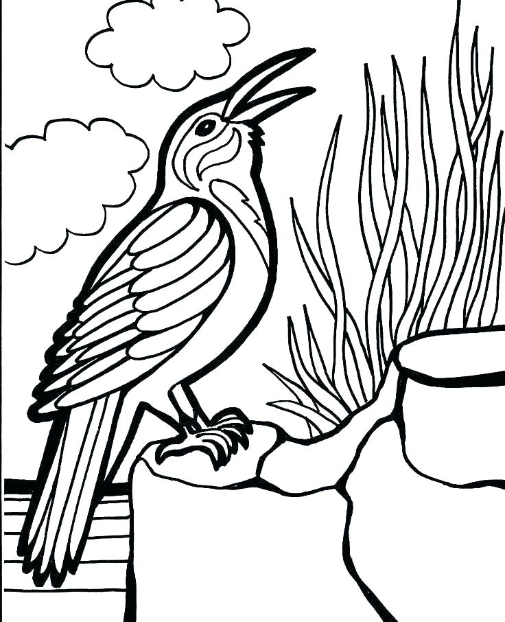 736x906 Angry Birds Coloring Pages Free Printable Bird Coloring Sheets