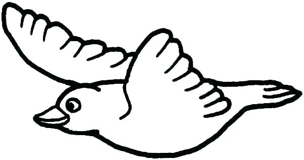 600x315 Birds Colouring Pages Full Size Of Kiwi Bird Colouring Pages